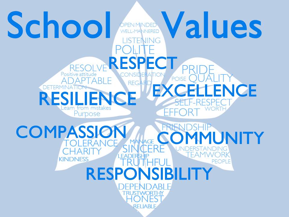 Hayes Primary School Ethos, Vision and Values